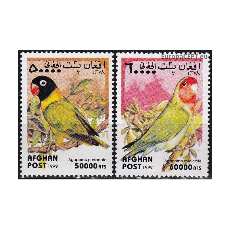 Afghanistan 1999. Parrots