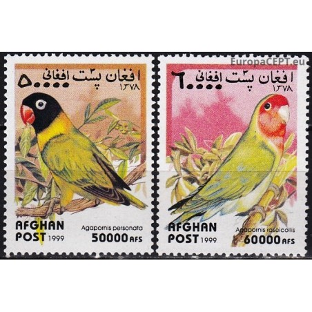 Afghanistan 1999. Parrots