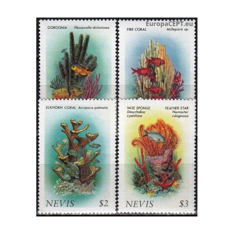 Nevis 1986. Corals
