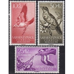 Spanish Sahara 1958. Birds