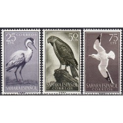Ispanijos Sachara 1959. Paukščiai