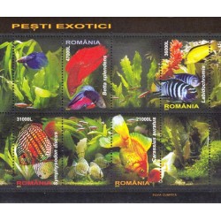 Rumunija 2005. Egzotiškos žuvys