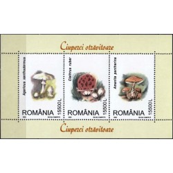 Romania 2003. Mushrooms