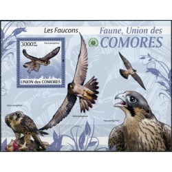 Comoros 2009. Falcons