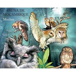 Mozambique 2011. Owls