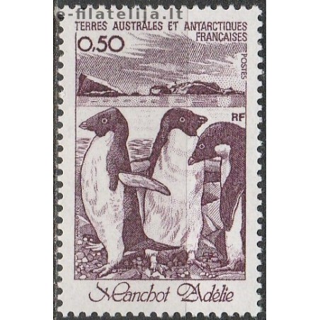 5x French Southern and Antarctic Lands (TAAF) 1980. Penguins (wholesale)