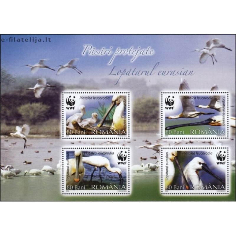 Rumunija 2006. Saugomi paukščiai