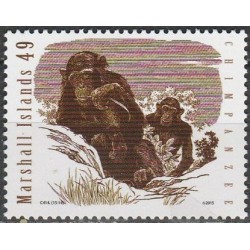 Maršalo salos 2015. Šimpanzės