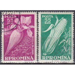 Romania 1959. Vegetables