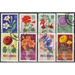 Romania 1964. Flowers
