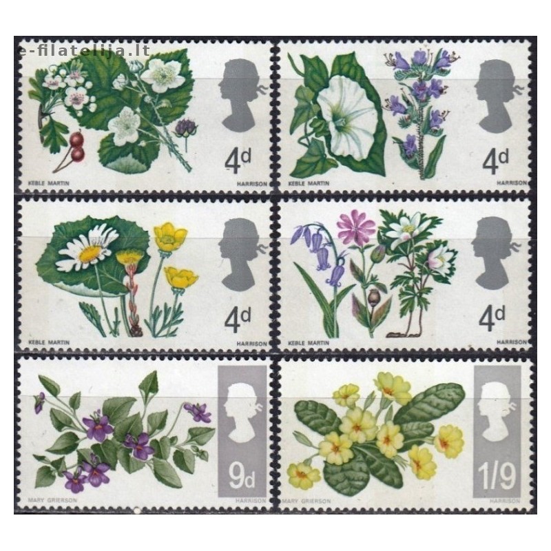 Didžioji Britanija 1966. Laukinės gėlės
