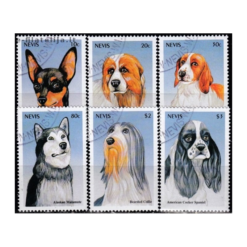 Nevis 2000. Dogs