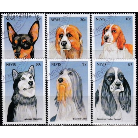 Nevis 2000. Dogs