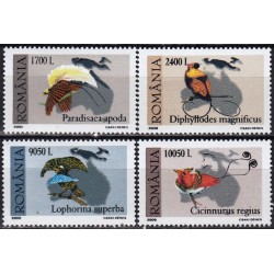 Rumunija 2000. Rojaus paukščiai