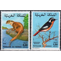 Marokas 1979. Vietinė fauna