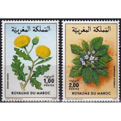 Morocco 1986. Flora