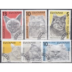 Bulgarija 1989. Naminės katės