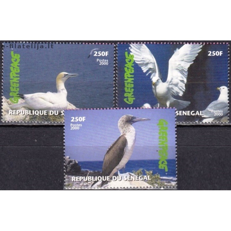 Senegal 2000. Birds