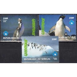 Senegalas 2000. Pingvinai