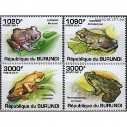 Burundi 2011. Frogs