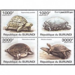 Burundi 2011. Turtles