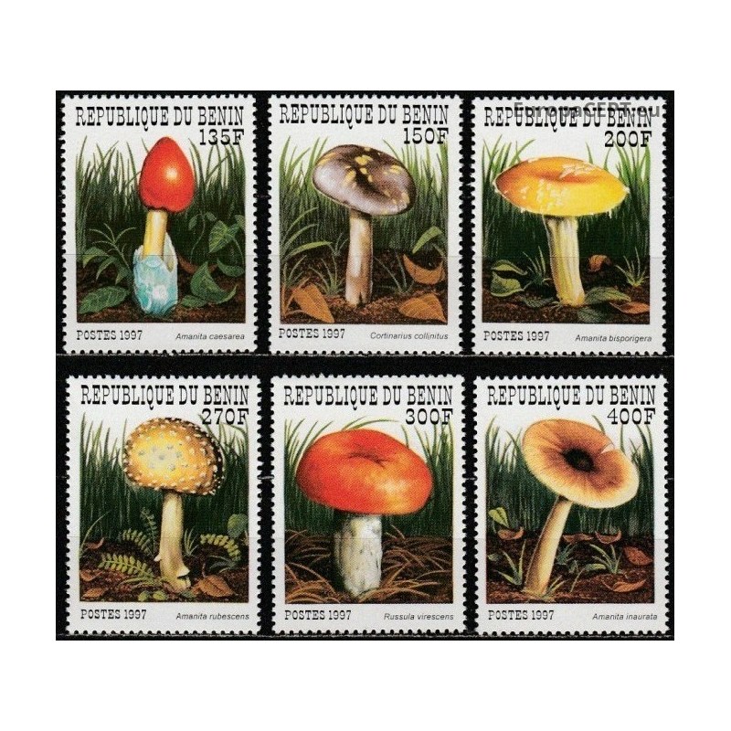 Benin 1997. Mushrooms