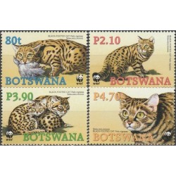 Botsvana 2005. Laukinės katės