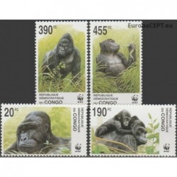 Congo 2002. Gorillas