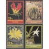 Congo 2001. Flowering plants