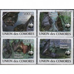 Comoros 2009. Bats