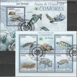 Komorai 2009. Vėžliai