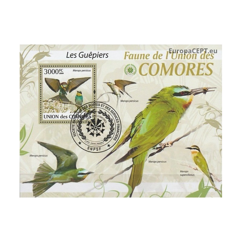 Comoros 2009. Birds (bee-eaters)