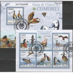 Comoros 2009. Ducks