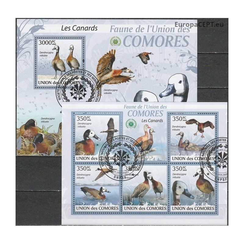 Comoros 2009. Ducks