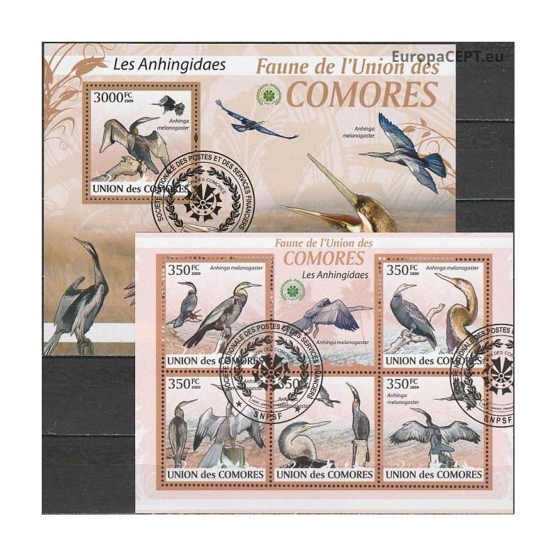 Comoros 2009. Marine birds (darters)
