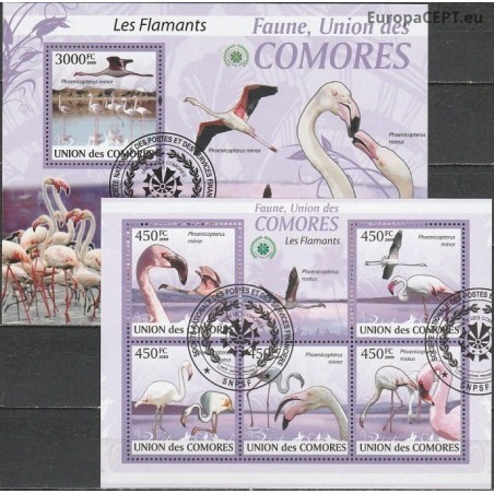 Comoros 2009. Flamingos