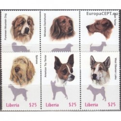 Liberija 1999. Šunys