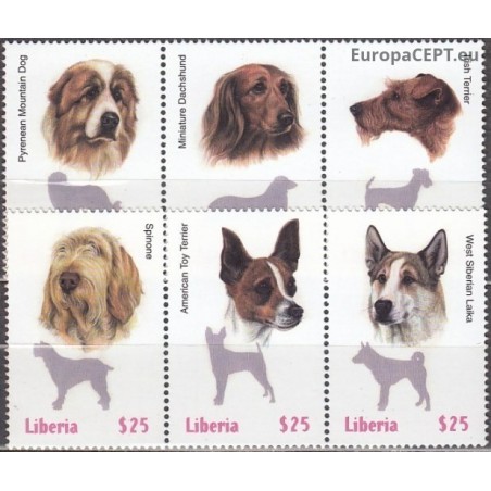Liberia 1999. Dogs