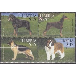 Liberija 2000. Šunys