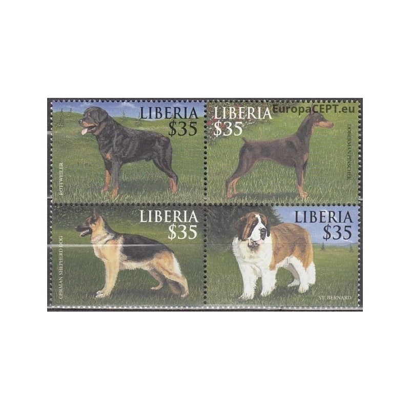 Liberia 2000. Dogs