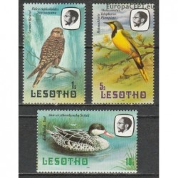 Lesotas 1981. Paukščiai