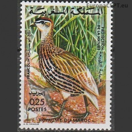 Morocco 1974. Birds