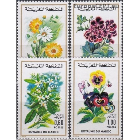 Marokas 1975. Gėlės