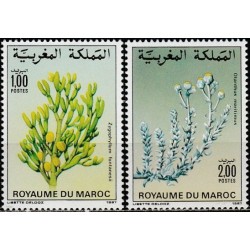 Morocco 1987. Flora