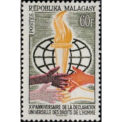 Madagaskaras 1963. Žmogaus teisių deklaracija