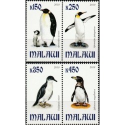 Malavis 2010. Pingvinai