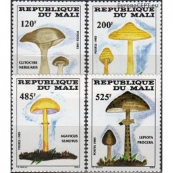 Mali 1985. Mushrooms