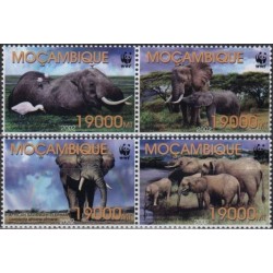 Mozambique 2002. Elephants