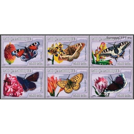 Mozambique 2007. Butterflies