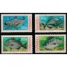 Namibia 1994. Fishes